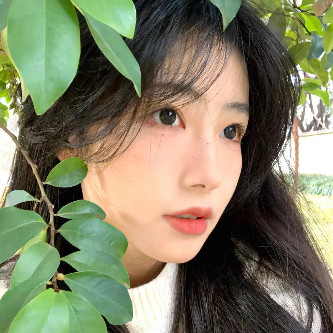 战火浮生录